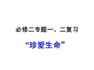 必修二专题一、二.ppt