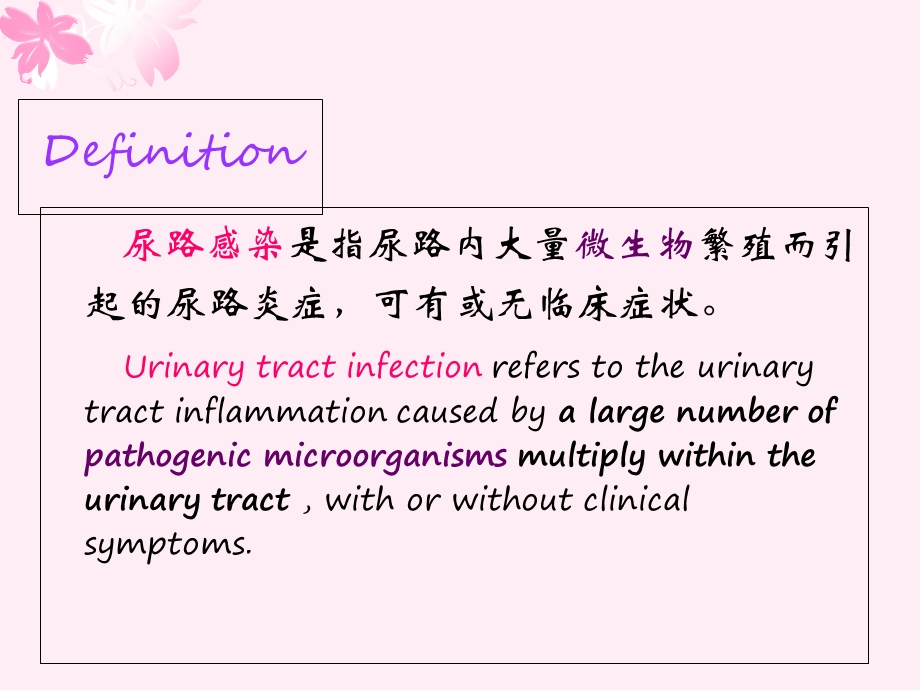 尿路感染中英双语.ppt_第2页