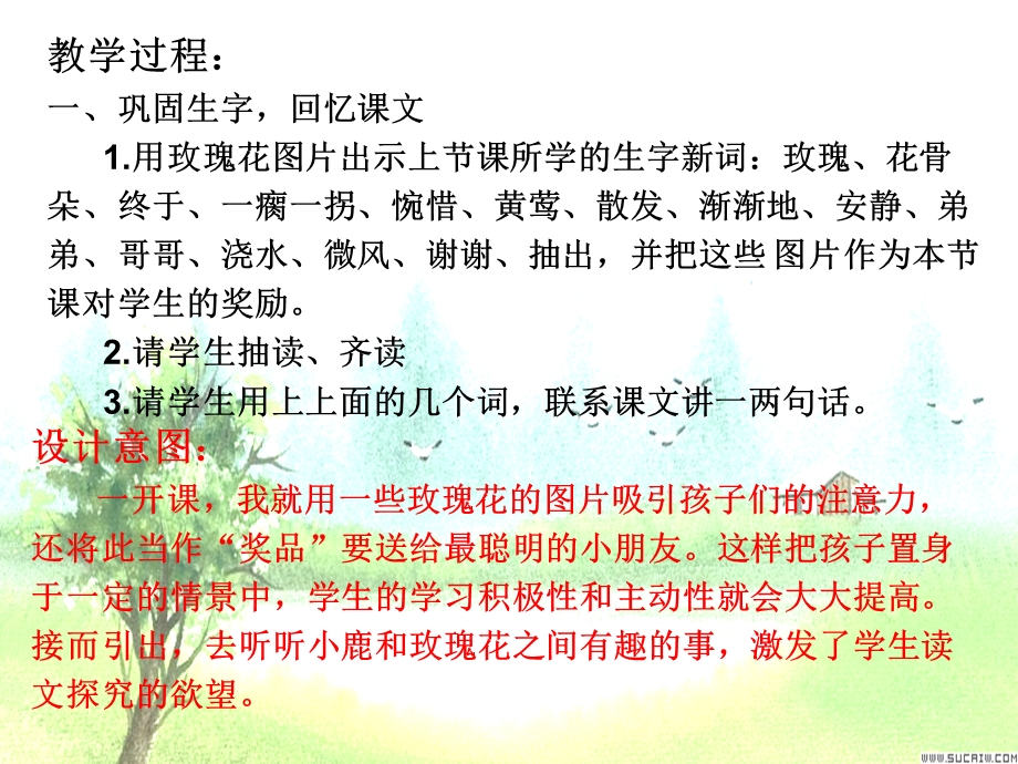 小鹿的玫瑰花教学设计(第二课时).ppt_第3页