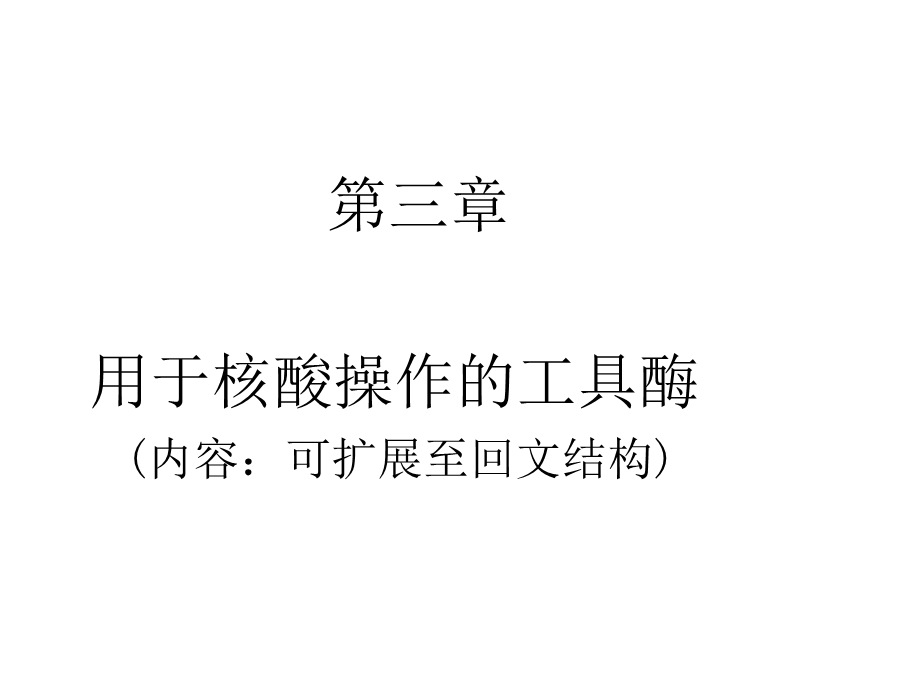 工具酶之二(教学).ppt_第3页