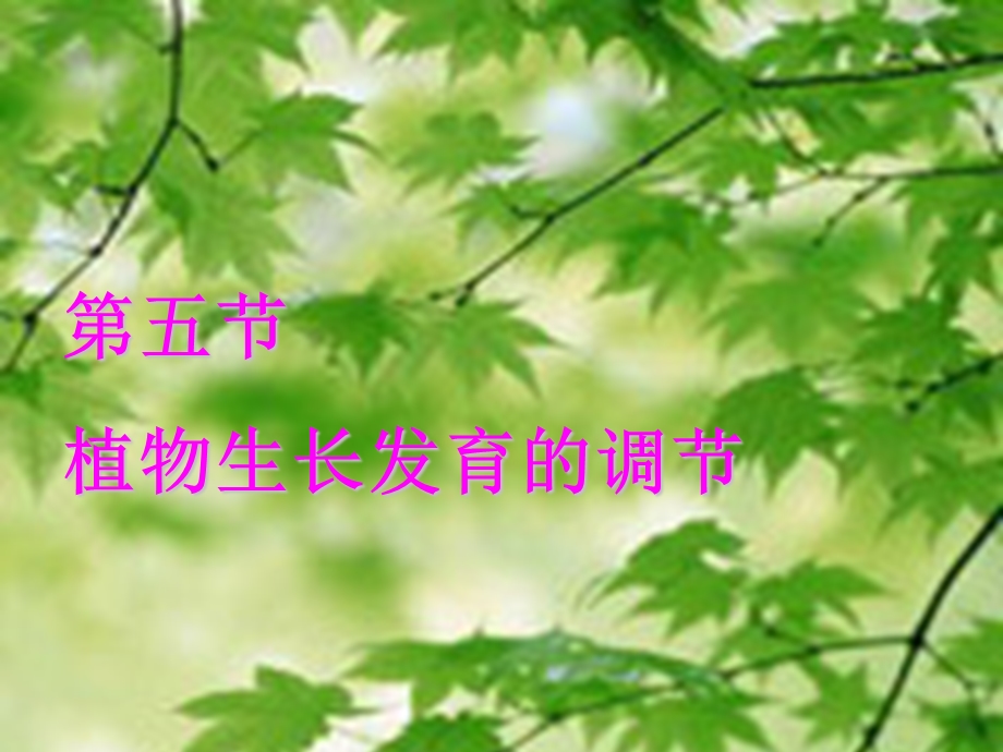 植物生长发育的调节.ppt_第1页