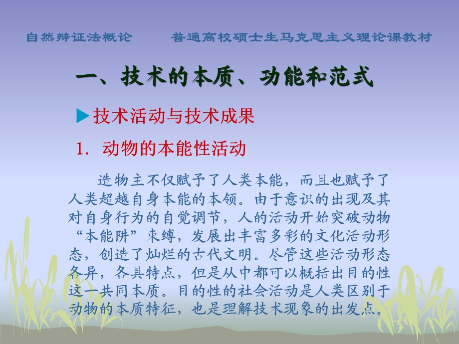 技术的概念、方法和意义.ppt_第3页