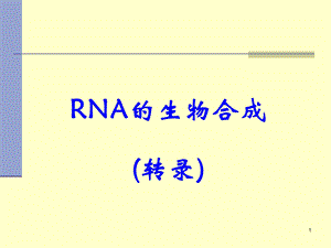 核酸的合成(RNA).ppt