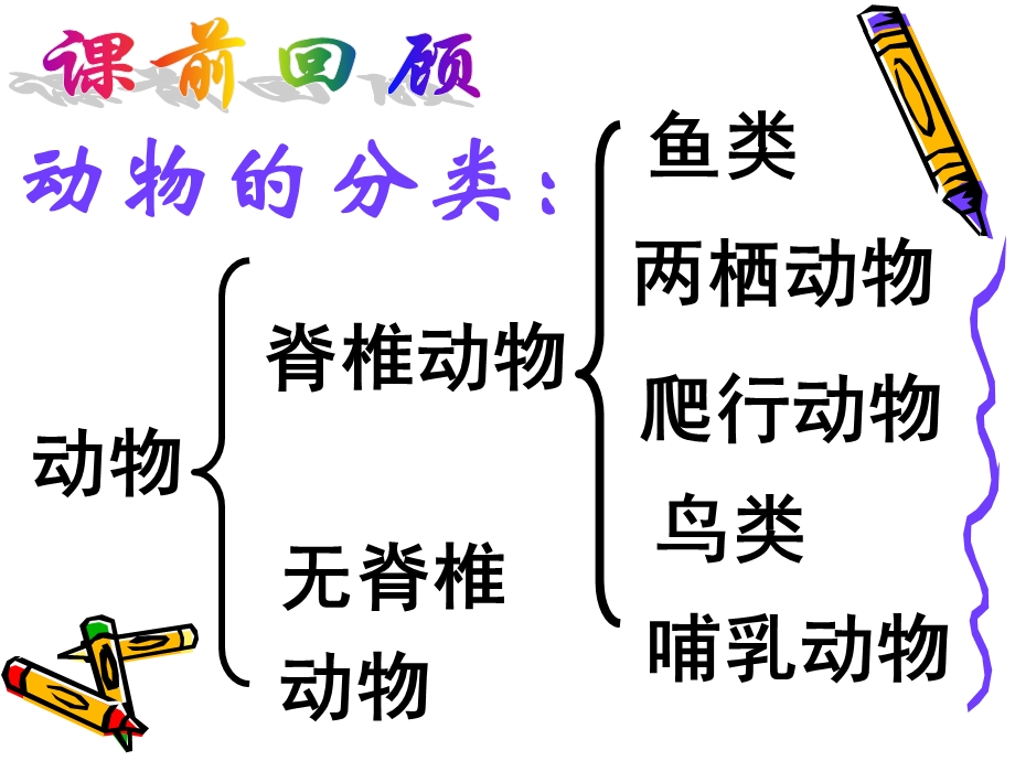 常见的动物第二课时.ppt_第1页