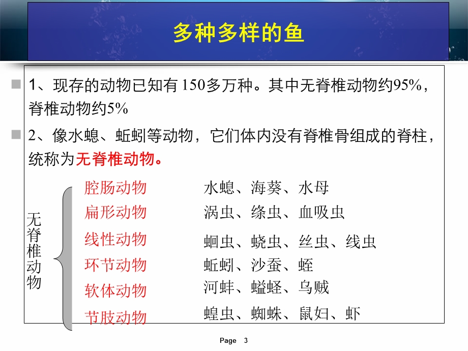 新人教版生物第五单元第一章第四节鱼.ppt_第3页