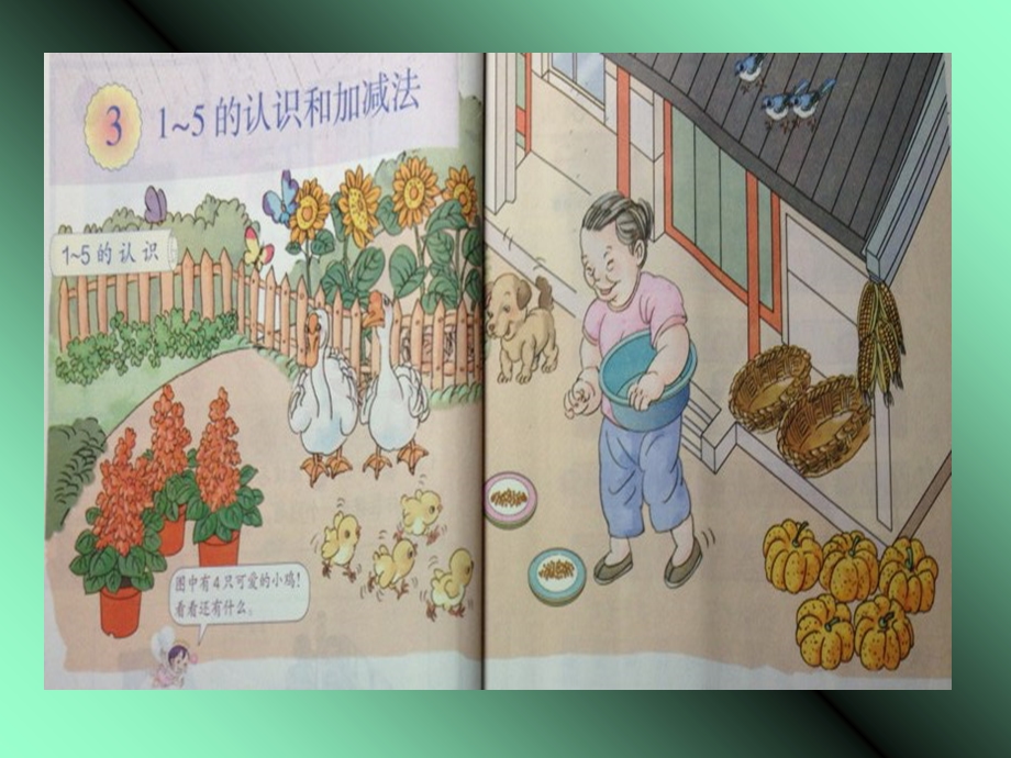 新课标小学数学一年级上册1到5的认识.ppt_第2页