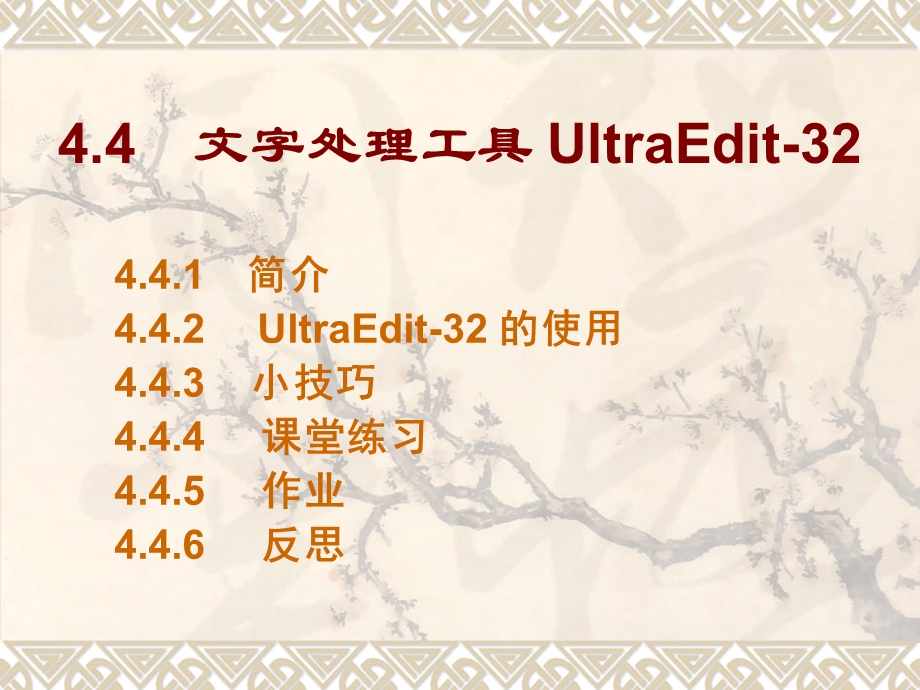 文字处理工具UltraE.ppt_第2页