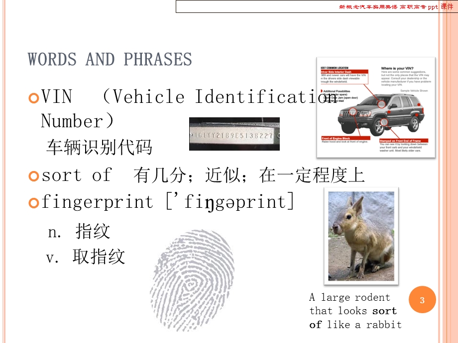 新概念汽车实用英语.ppt_第3页