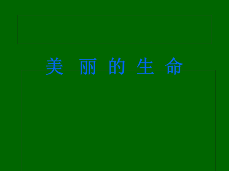 山东人民版小学品德与社会三年级下册《美丽的生命》PPT.ppt_第1页