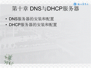 操作系统10-DNS与DHCP服务器.ppt