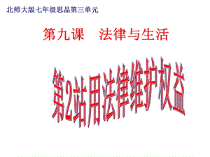 政治北师大版七年级下.ppt