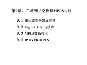 广域网MPLS技术详解.ppt