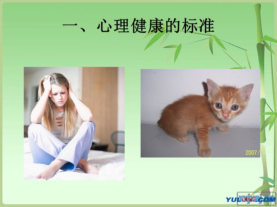 心理发展委员培训.ppt_第3页