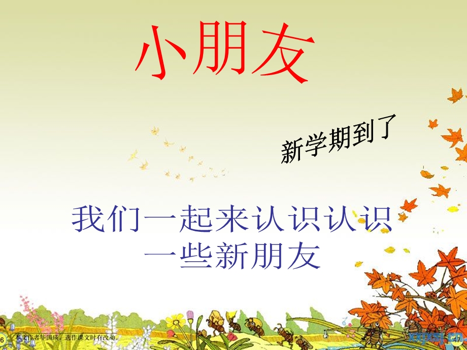 我们的民族小学教学课.ppt_第1页