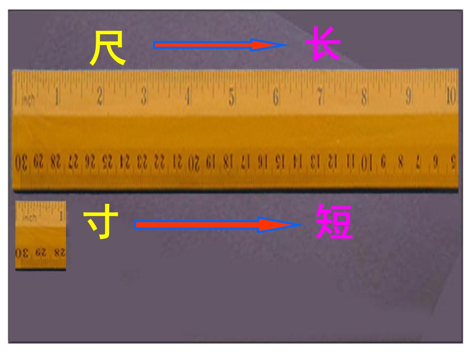 尺有所寸短有所长ppt.ppt_第1页