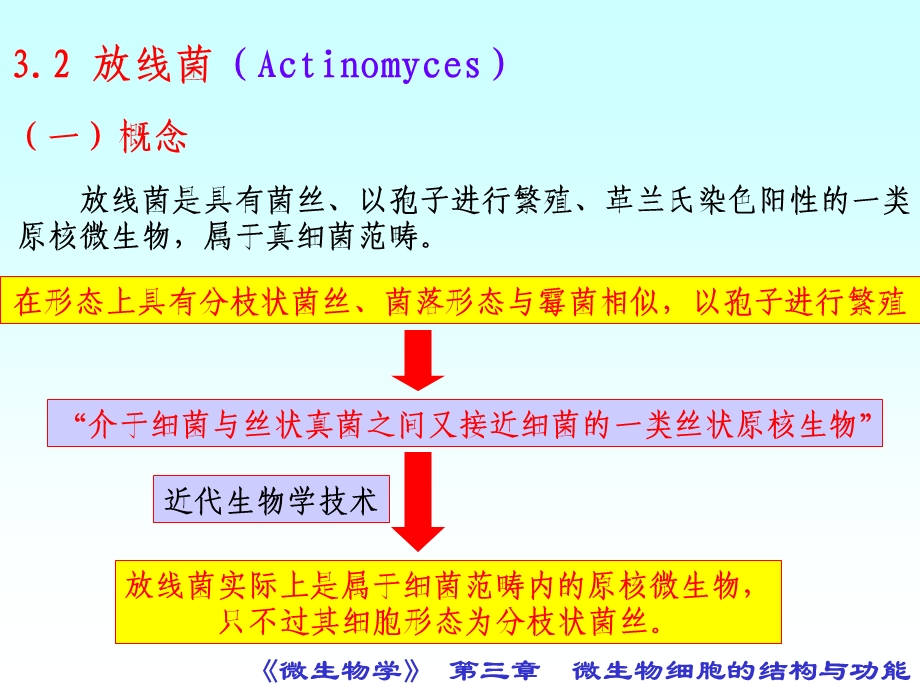 微生物细胞的结构与功能(下).ppt_第3页