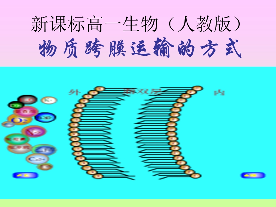 新课标高一生物(人教版).ppt_第1页