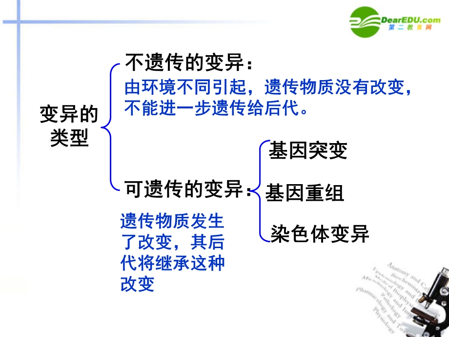 染色体变异课件新人教版必修.ppt_第3页