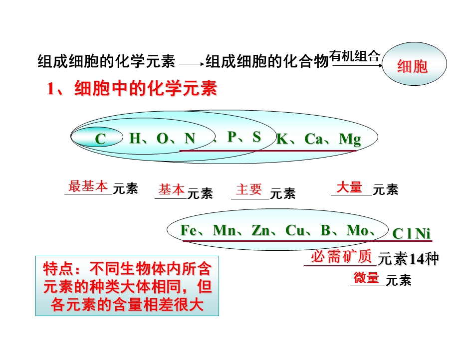 时细胞中的元素和化合物细胞中的无机物.ppt_第3页