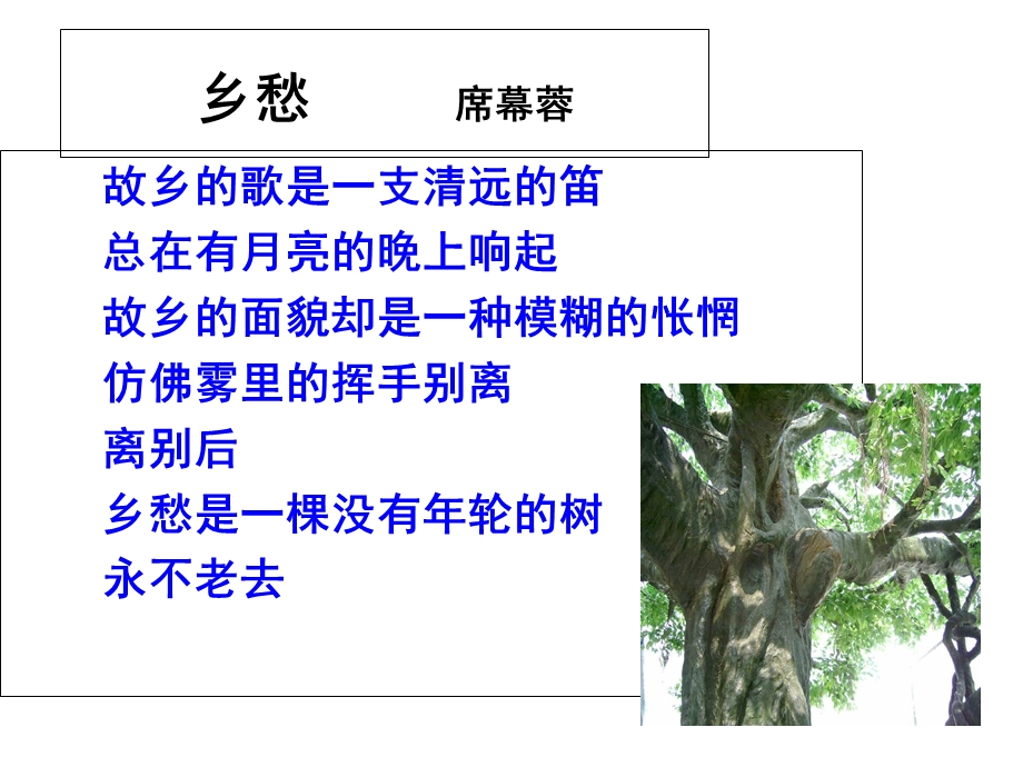 故乡的榕树(xiu)ppt.ppt_第1页