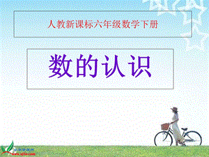 数的认识总复习3六班级.ppt