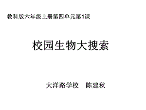 教科版六年级科学上册校园生物大搜索.ppt