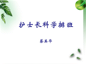 护士长科学排班(蔡).ppt