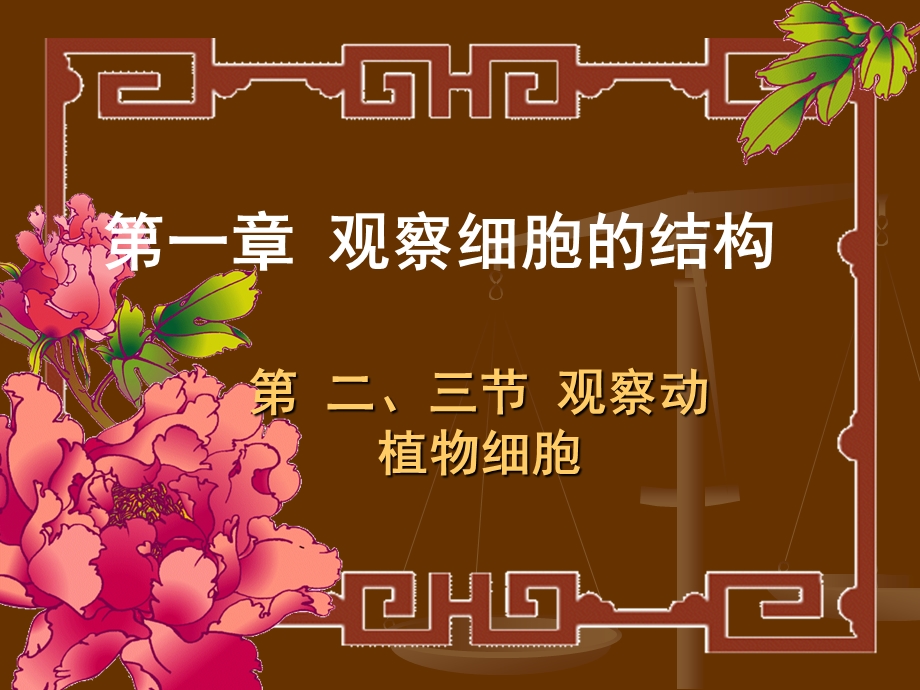 植物和动物的细胞结构.ppt_第1页