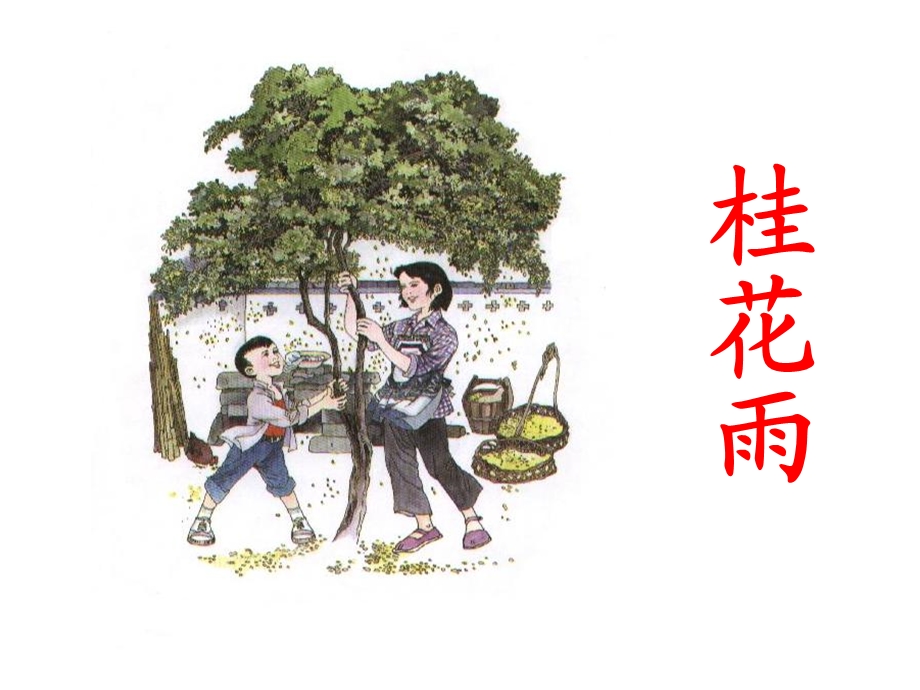 小学语文《桂花雨》ppt课件.ppt_第1页