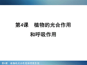 植物的光合作用和呼吸作用.ppt