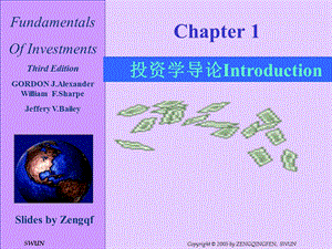 投资学导论Introduction.ppt