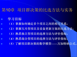 技术经济学第10章项目群决策的比选方法与实务.ppt