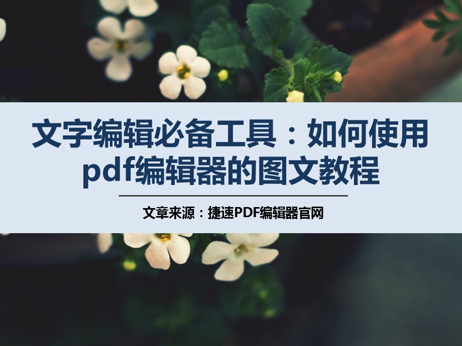 文字编辑必备工具：如何使用pdf编辑器的图文教程.pptx_第1页