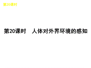 新人教版初中生物七年级下册《人体对外界环境的感知》复习.ppt