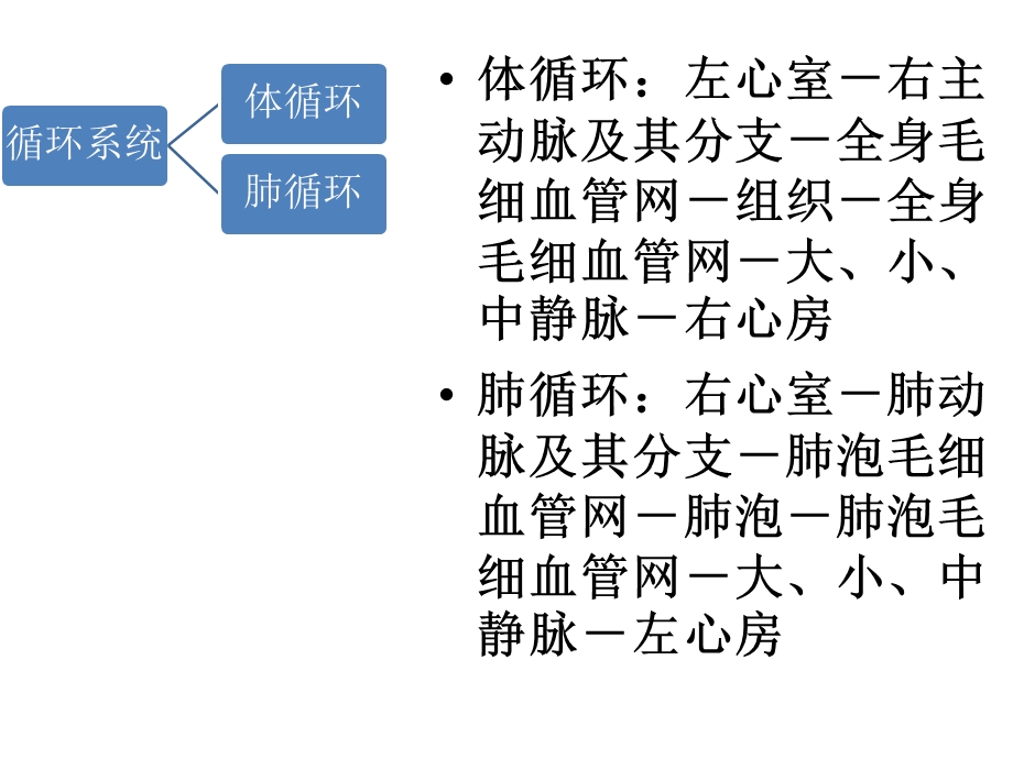 新生儿循环系统疾病的护理.pptx_第3页