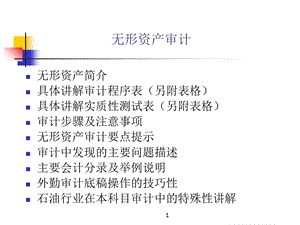 无形资产审计讲义PPT.ppt