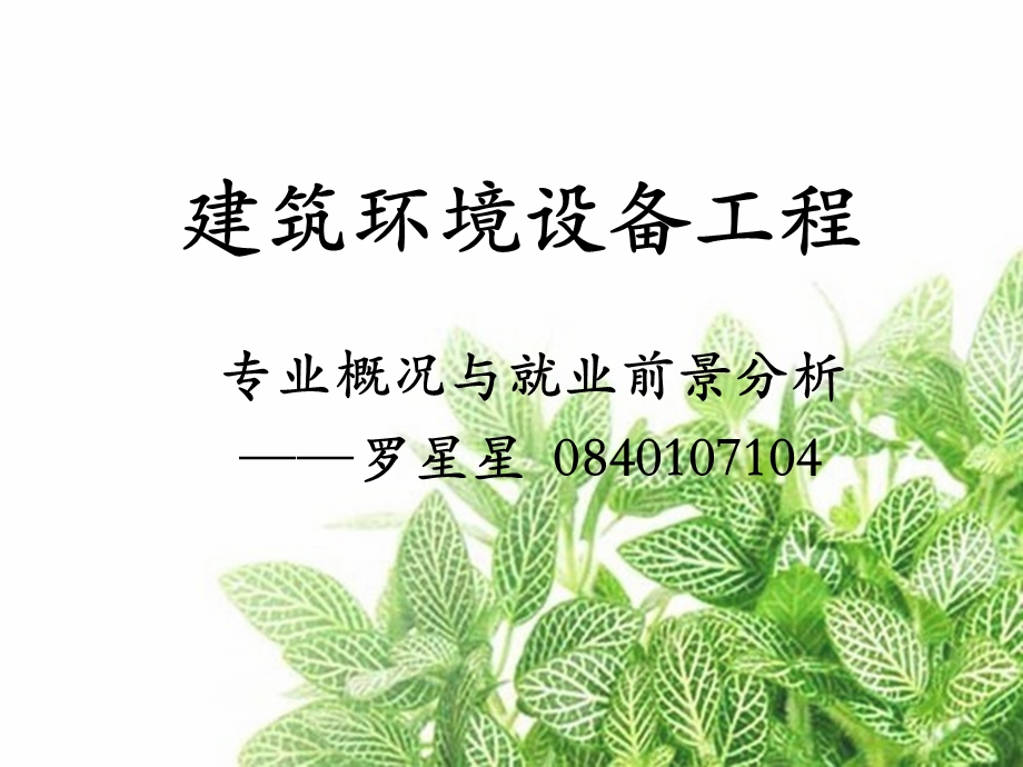 建筑环境与设备工程.pptx_第1页