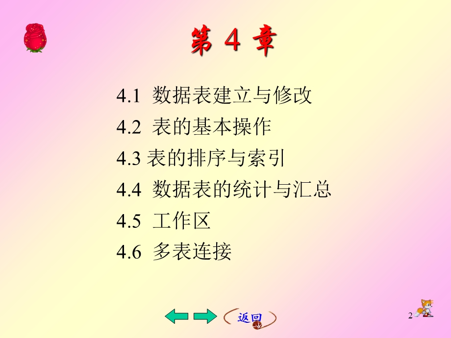 数据表的设计与操作.ppt_第2页