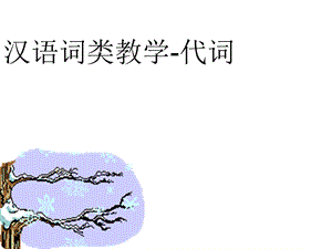 汉语词类教学-代词.ppt