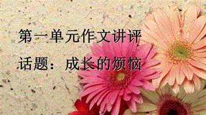 成长的烦恼作文点评.ppt