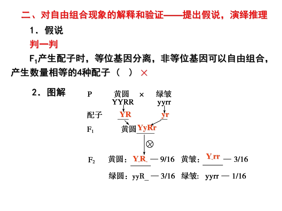 必修二第一章第二讲.ppt_第3页