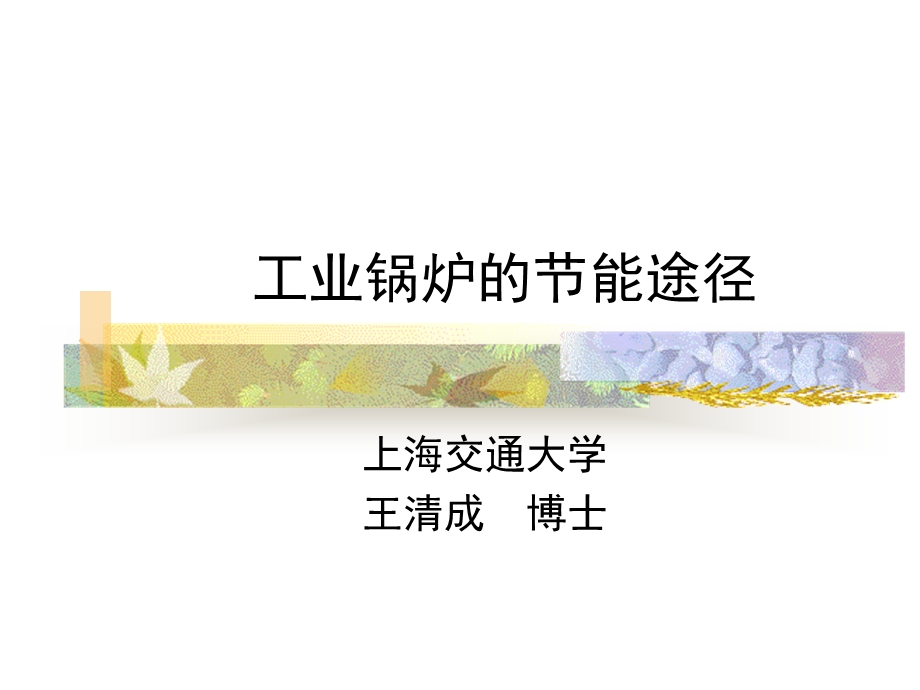 工业锅炉的节能途径.ppt_第1页