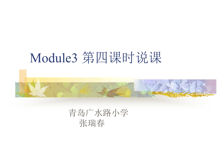 新标准五年级第十册Module3第四课时说课.ppt_第1页