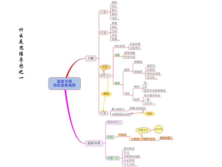 思维导图及在学习中的应用(实例版).pptx_第2页