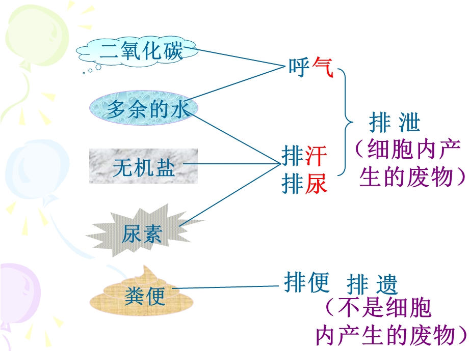 尿的形成和排出课件.ppt_第3页