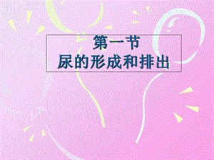 尿的形成和排出课件.ppt