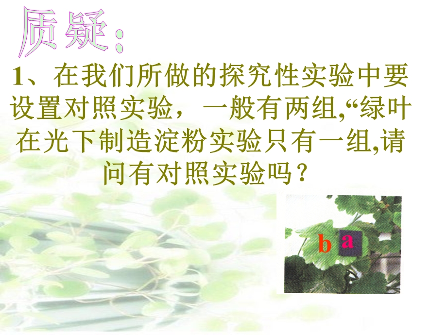 绿色植物的呼吸作用和光合作用.ppt_第3页