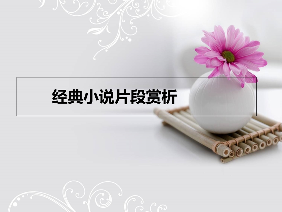 经典小说片段赏析.ppt_第1页