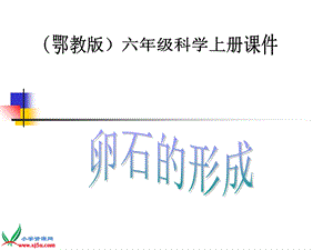 鄂教版小学科学六年级上册《卵石的形成》.ppt