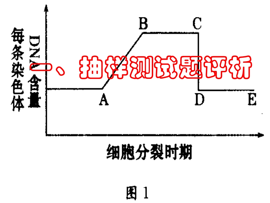 苏教版教学素材江苏教育学院附属高级中学苏教版必修2(遗传与进化).ppt_第2页